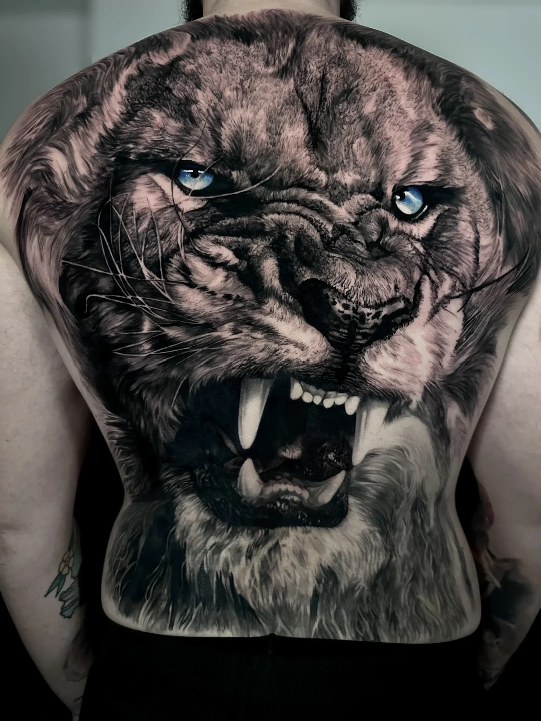Realistic lion tattoo