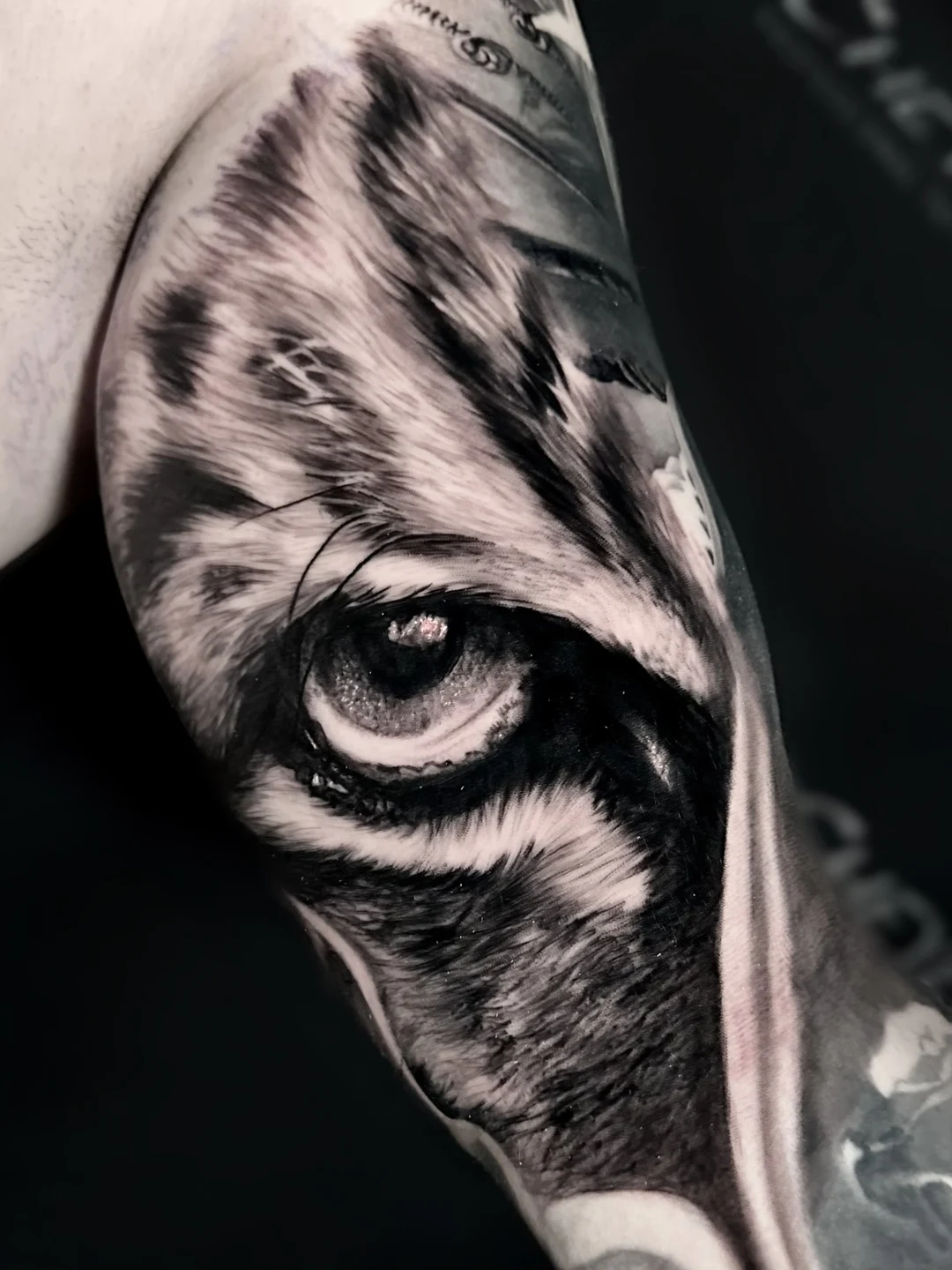 Realistic tiger eye