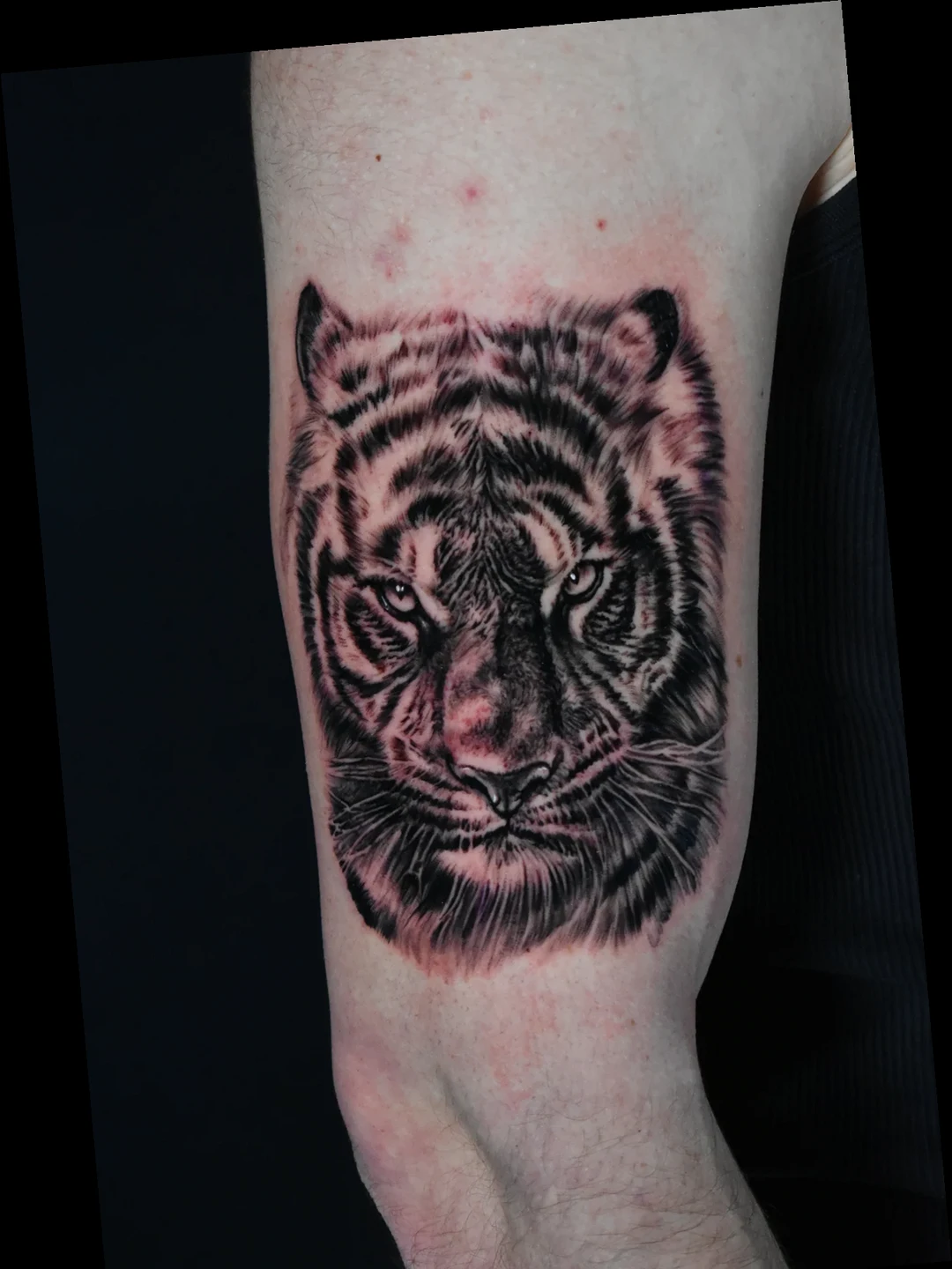 Realistic tiger tattoo